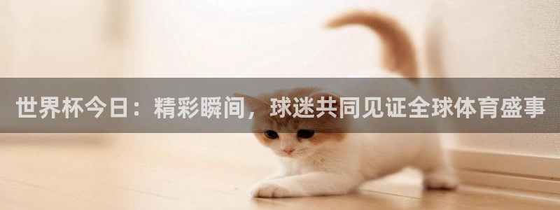 2026世界杯赛：世界杯今日：精彩瞬间，球迷共同见证全球体育盛事