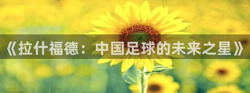 世界杯16强赛程表：《拉什福德：中国足球的未来之星》