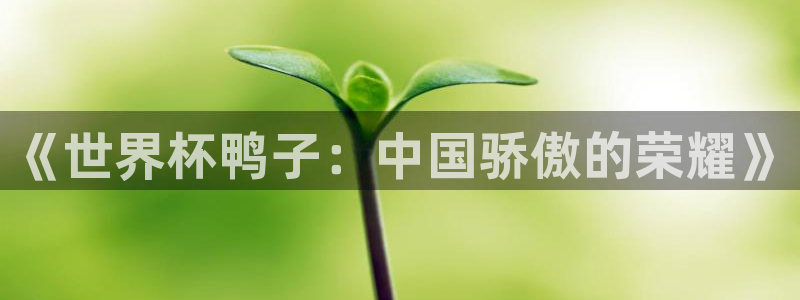 世界杯预选赛亚洲：《世界杯鸭子：中国骄傲的荣耀》