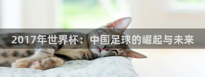 国际足联世界杯：2017年世界杯：中国足球的崛起与未来
