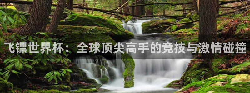 世界杯决赛直播：飞镖世界杯：全球顶尖高手的竞技与激情碰撞