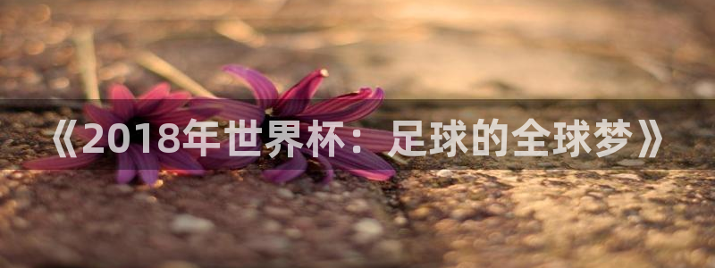 世界杯赛程2026：《2018年世界杯：足球的全球梦》