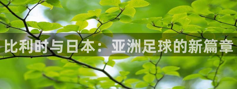 2026年世界杯对阵图：比利时与日本：亚洲足球的新篇章