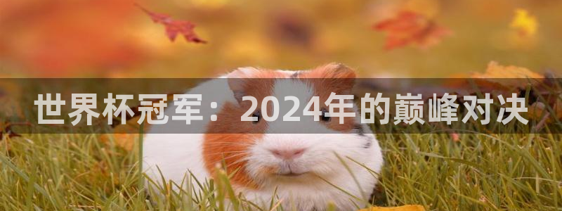 足球世界杯赛程：世界杯冠军：2024年的巅峰对决