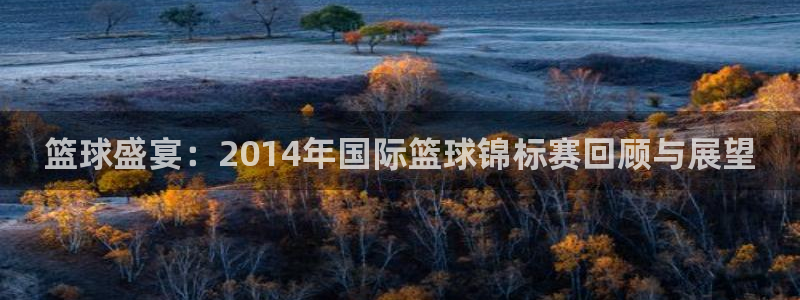 世界杯亚洲区预选赛赛程：篮球盛宴：2014年国际篮球锦标赛回顾与展望