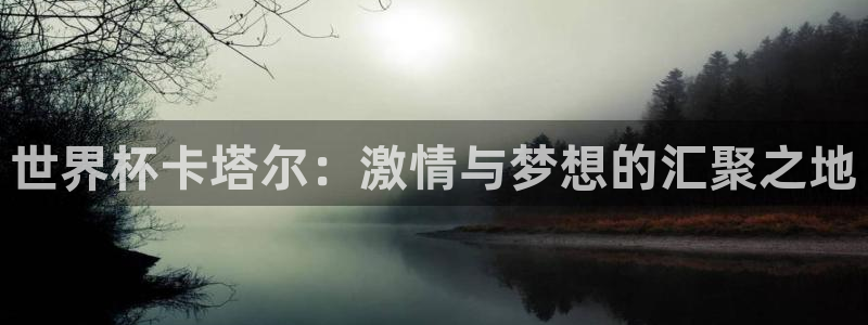 2006年世界杯：世界杯卡塔尔：激情与梦想的汇聚之地
