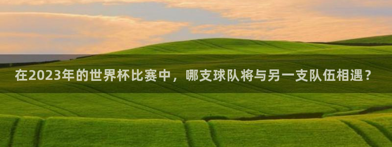 世界杯今日赛程直播：在2023年的世界杯比赛中，哪支球队将与另一支队伍相遇？