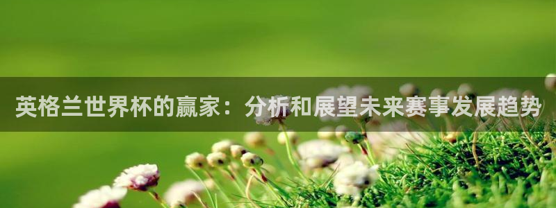 世界杯比赛直播：英格兰世界杯的赢家：分析和展望未来赛事发展趋势